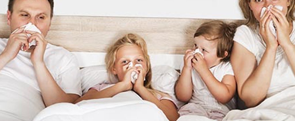 prevent allergies St. Charles pest control
