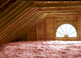 home attic clean St. Charles pest control