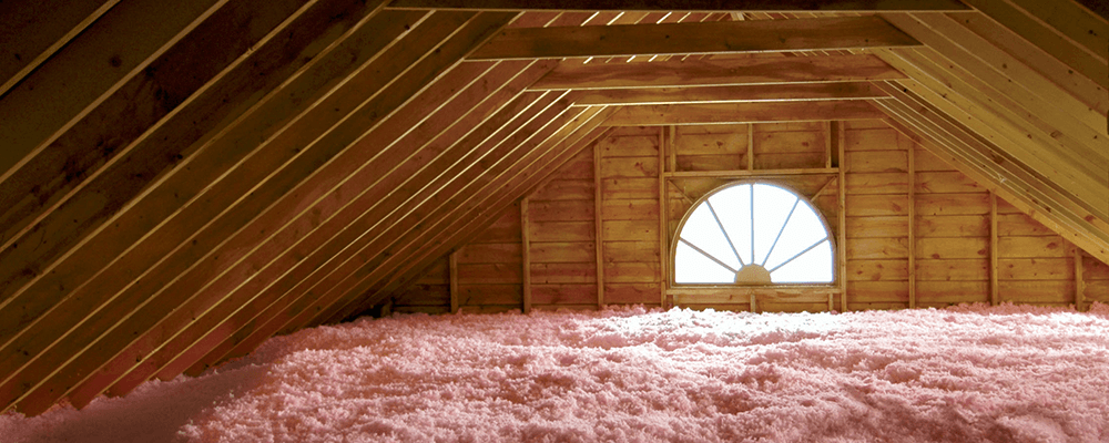 home attic clean St. Charles pest control
