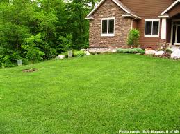 clean green pest free lawn St. Charles pest control