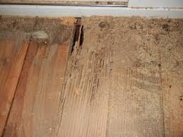 termite damaged wood St. Charles pest control