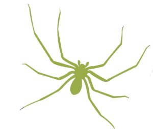 brown recluse spider St. Charles pest control