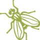 flies St. Charles pest control