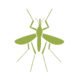 green mosquito graphic St. Charles pest control