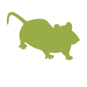 mouse pest St. Charles pest control