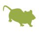 mouse pest St. Charles pest control
