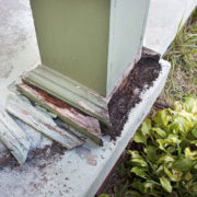 Detail of column post damage on home's front porch. St. Charles pest control