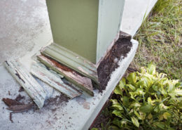Detail of column post damage on home's front porch. St. Charles pest control