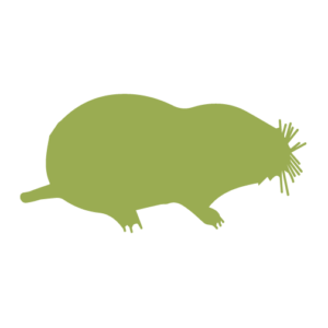 Mole silhouette green graphic St. Charles pest control