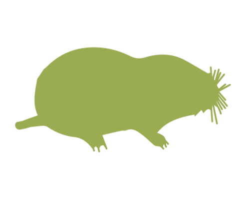 Mole silhouette green graphic St. Charles pest control