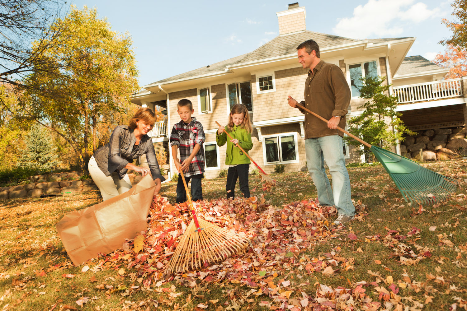 Family Raking Autumn Leaves, Outdoors Team Together in Home Yard Amco