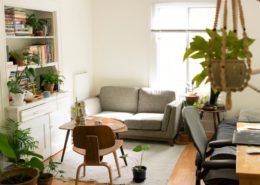 pest control for the inside of your home