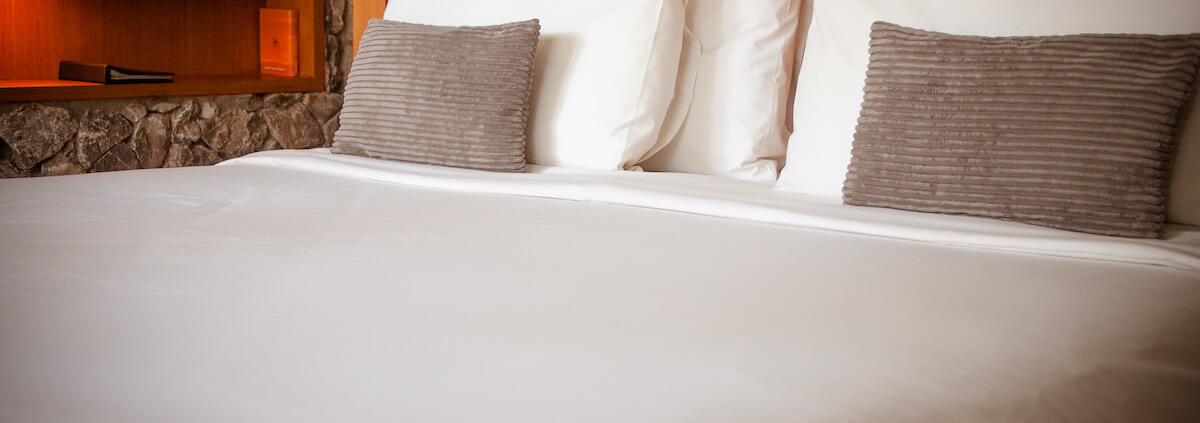 bed bugs in a hotel bed