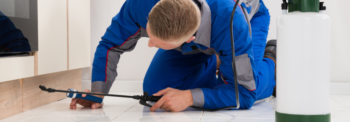 pest control specialist