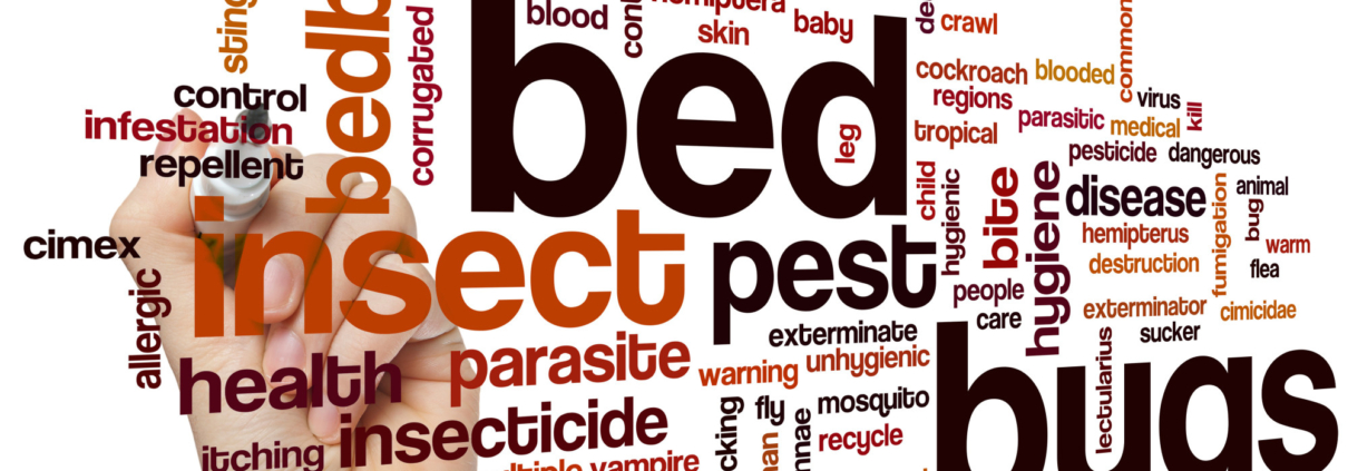 5 Early Warning Signs for Spotting Bed Bugs 1 early signs of bed bugs