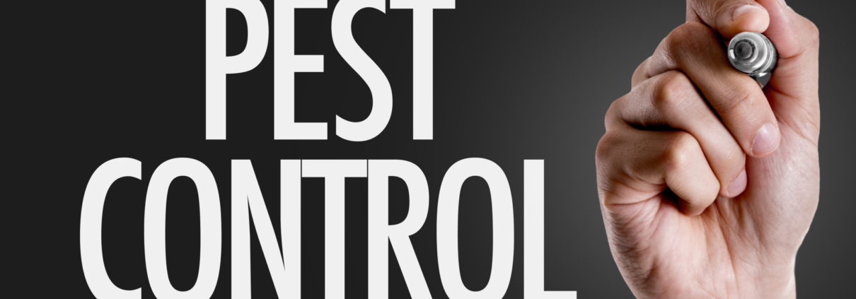 pest control inspection