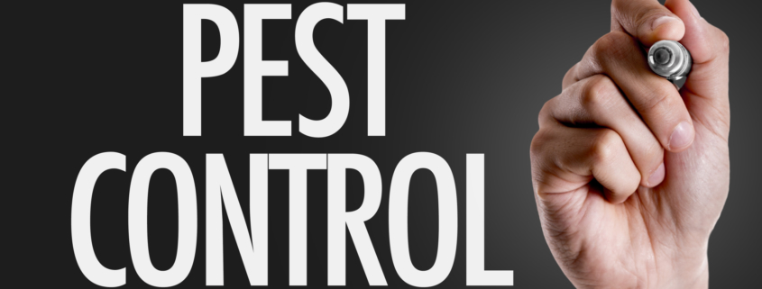 pest control inspection