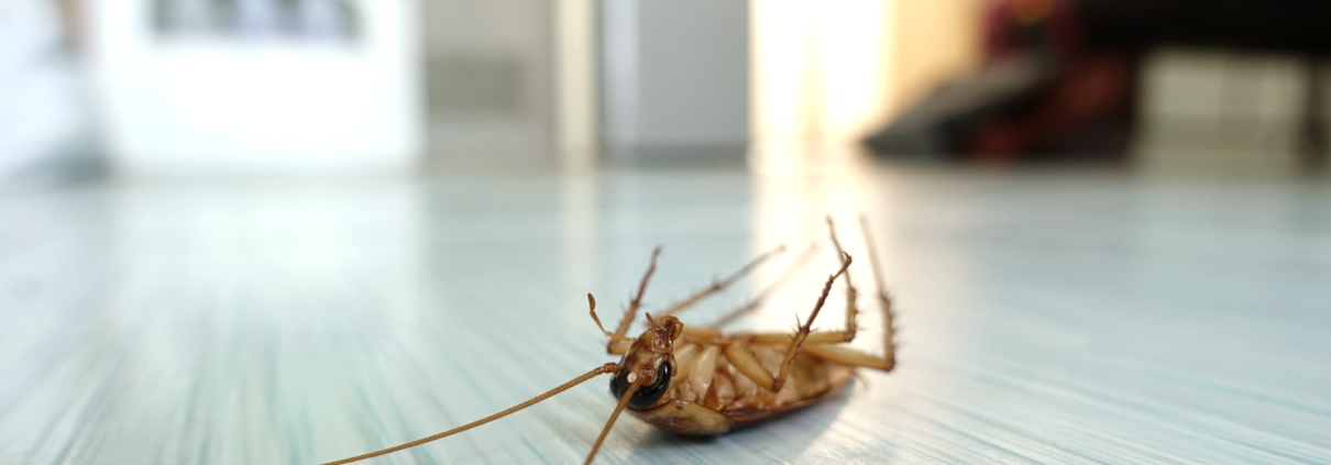 pest control company