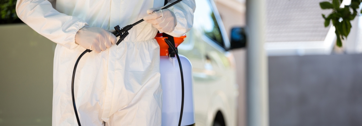 Pest Control St. Louis