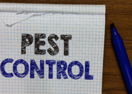 pest control tips