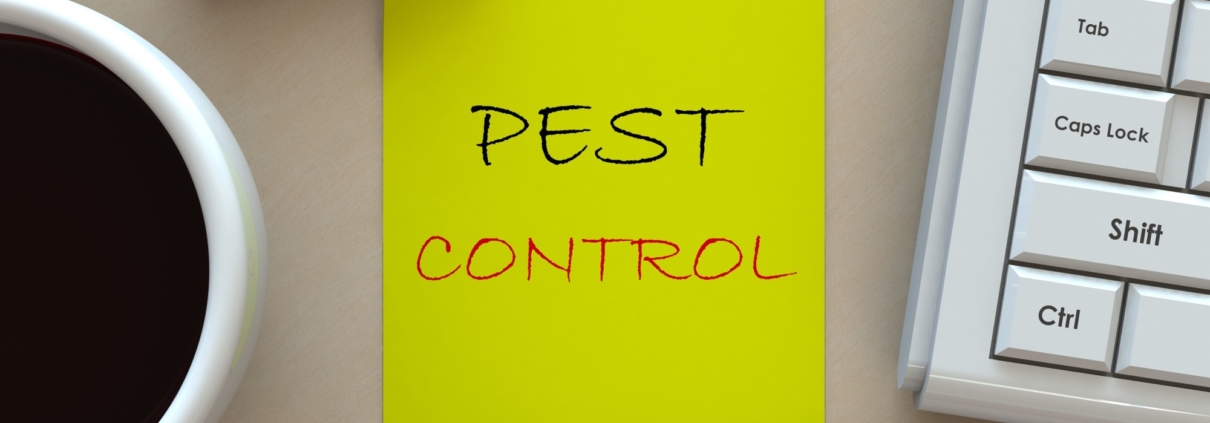 pest control services