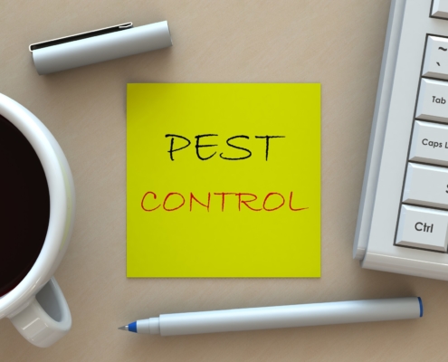 pest control services