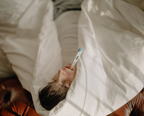 How to Prevent Bed Bugs from Infesting Your Home 3
