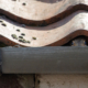 A squirrel peeking out of anattic.
