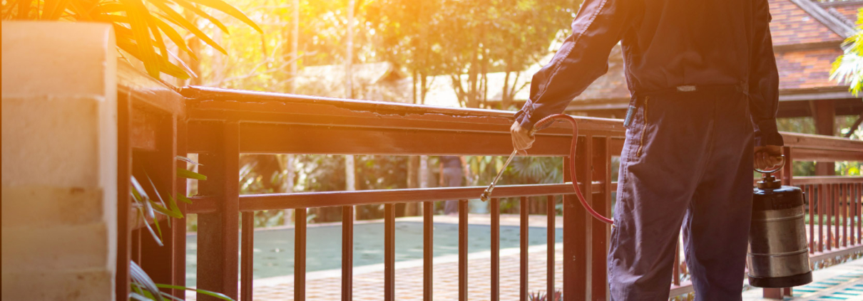 Pest control technician spraying the exterior of a home, representing professional pest control services and pricing options for Missouri homeowners.