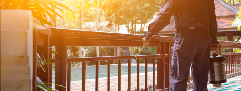 How Much Does Pest Control Cost in Missouri? A 2025 Guide for Homeowners 1 Pest control technician spraying the exterior of a home, representing professional pest control services and pricing options for Missouri homeowners.