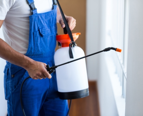 A professional technician providing emergency pest control services by treating a home's interior window frame with specialized equipment.
