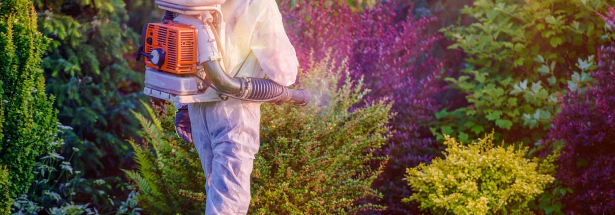 Pest control technician treating a residential yard with a backpack sprayer, outdoor pest control services near St. Louis.
