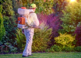 Pest control technician treating a residential yard with a backpack sprayer, outdoor pest control services near St. Louis.
