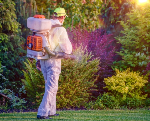 Pest control technician treating a residential yard with a backpack sprayer, outdoor pest control services near St. Louis.