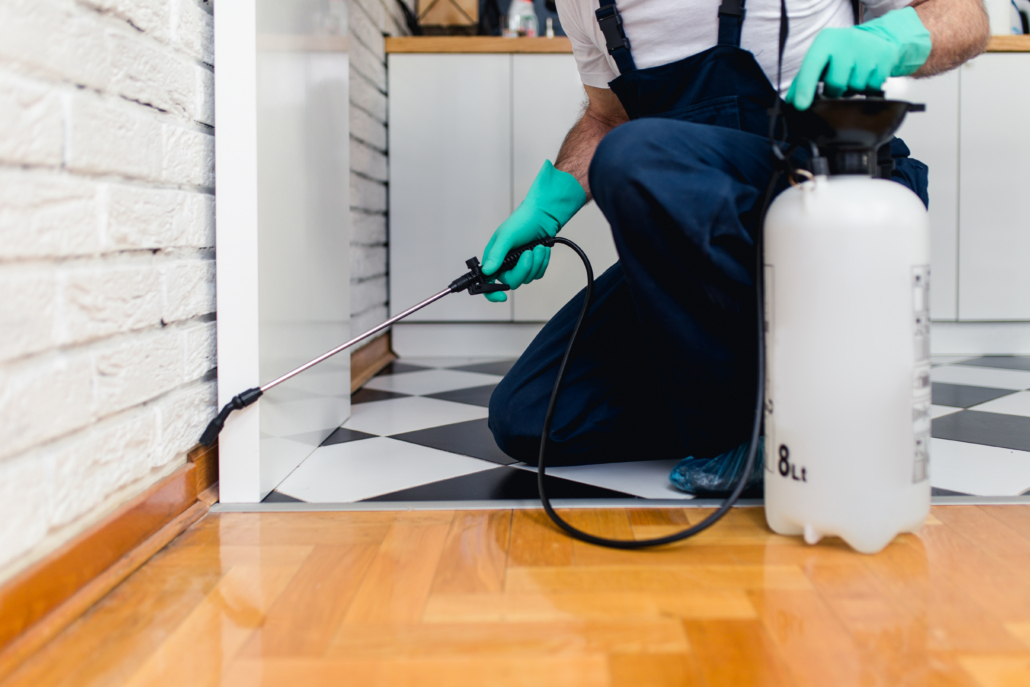 Pest control technician applying treatment along kitchen baseboards during a residential pest control service visit.