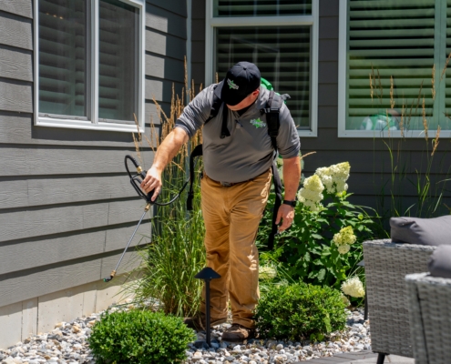 Professional termite and pest control technician from Amco Ranger performing a perimeter liquid treatment on a St. Louis home foundation.