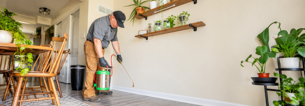 AMCO Ranger technician performing flea pest control indoors, using a hand sprayer to treat a baseboard